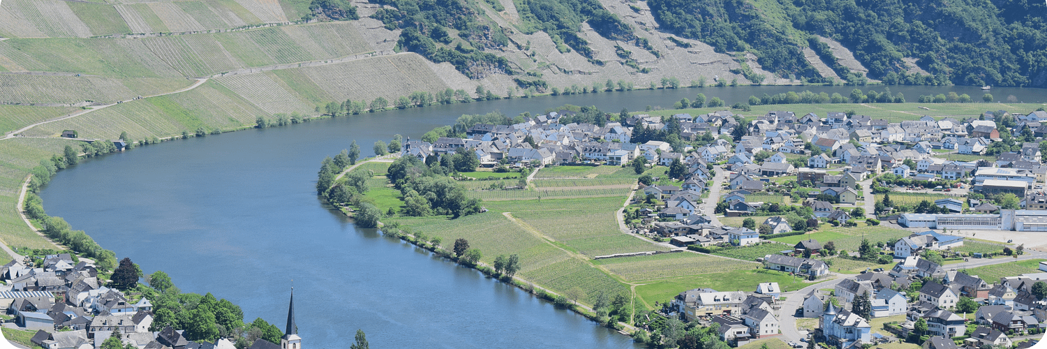 Piesport