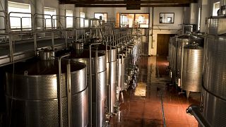 Sicily’s Finest Wines & Countryside at Gigliotto
