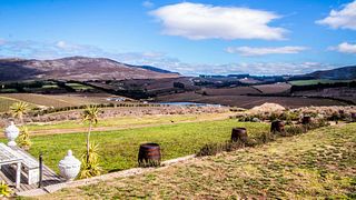 Domaine Des Dieux