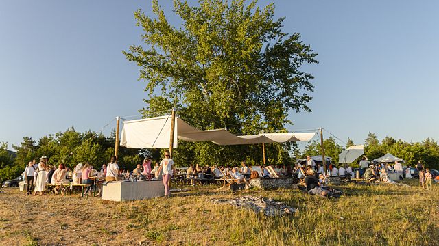 Tóth Ferenc Winery