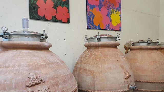 Degustazione di vini a La Rodeline