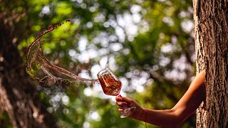 Degustazione di vini e tour al Bric Cenciurio