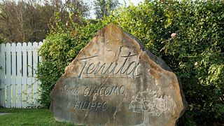 Wine tasting and tour at Tenuta Santi Giacomo e Filippo