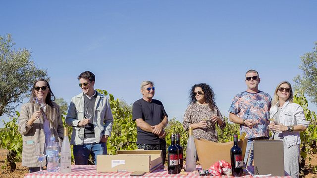 Vega Tolosa Wine Experience