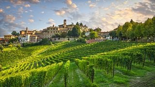 Excursão de degustação de vinhos Alba, Castelo da UNESCO e Barolo saindo de Milão