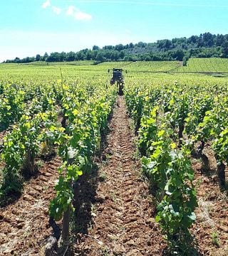 Domaine d'Ardhuy