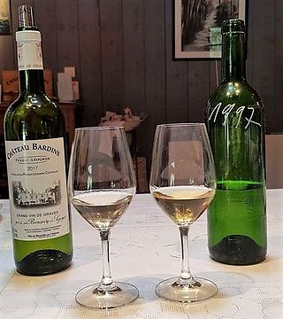 Weinprobe im Château Bardins