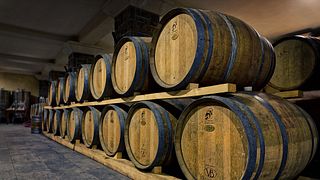 Cata de vinos y visita guiada a Korenika y Moškon