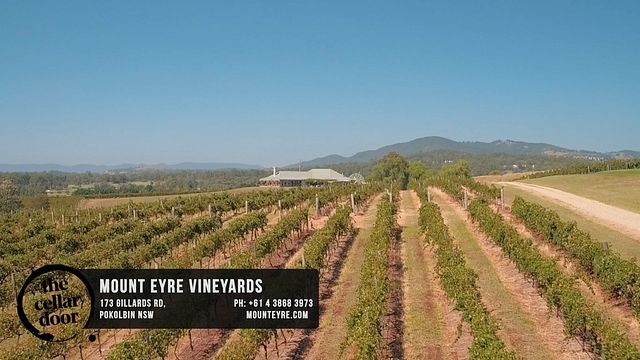 L'incroyable expérience de dégustation de vin aux vignobles Mount Eyre