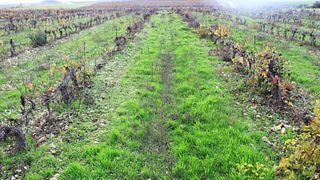 Casa Pardet Winery