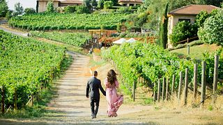 Wise Villa Winery