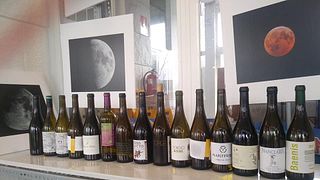 Degustación de vinos y recorrido en Adega Pousadoiro.
