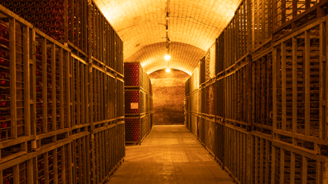 Beliebte Weinprobe bei Cavas Naveran
