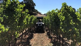 Volker Eisele Family Estate