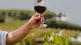 Ladron De Lunas Winery