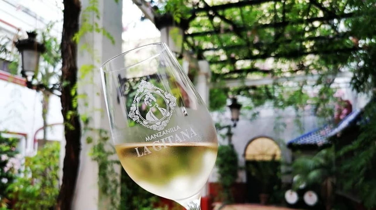 Andalusia Wine & Culture Tour at Hidalgo La Gitana