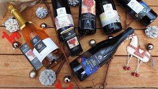 Vinprovning och rundtur på Weingut Gesellmann
