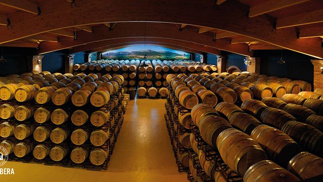 Visite et dégustation de vins aux Bodegas Vallobera
