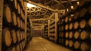 Visitez Bodegas Olarra au cœur de La Rioja