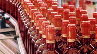 Degustazione di vini e visita a Bodegas Fernandez