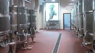 Dégustation de vins et visite à l'Azienda Agricola Nesci