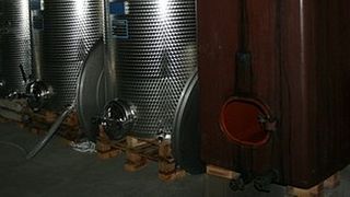 Jura & Savoie Natural Wine Journey at Domaine Thill
