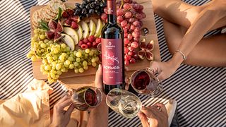 Visita della cantina e degustazione guidata di vini