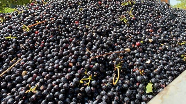 Domaine Des Pentelines