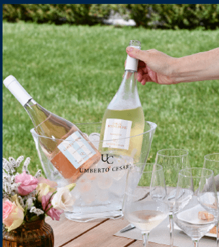 Visite des vins classiques chez Umberto Cesari