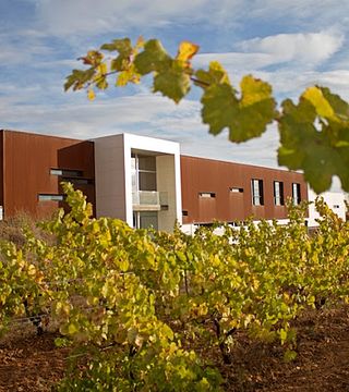 Castilla y León Wine Tour & Tasting at Leyenda Del Páramo