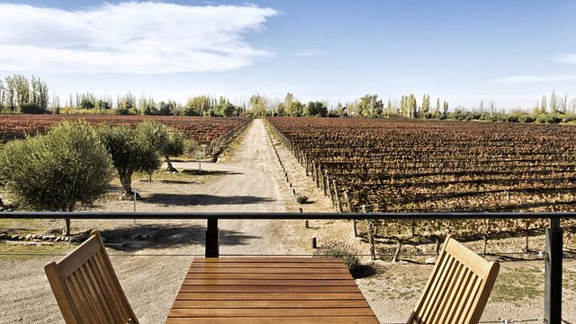 Dégustation de vins et visite chez Mevi