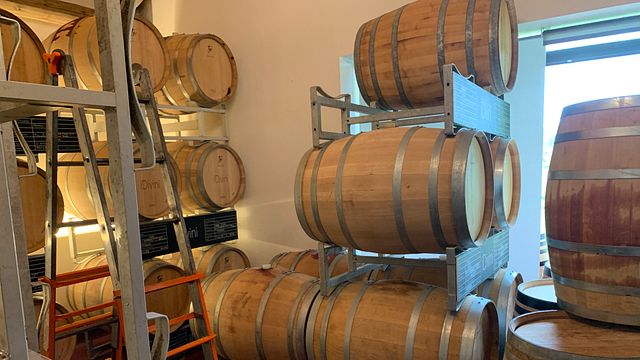Descubra Piamonte: Cata de vinos blancos y experiencia en bodega