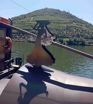 Upptäck Douro Valley Wine Tour för naturälskare