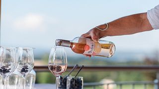 Dégustation de vins et visite du Weingut Mad