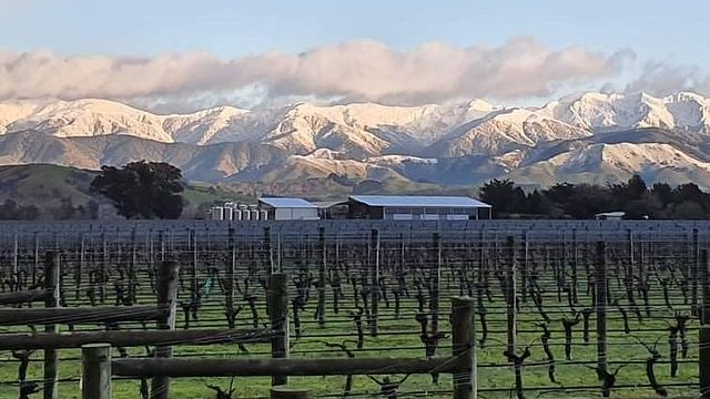 Wine Tasting and Tour at Matahiwi Estate
