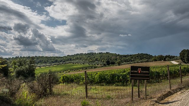 Taste Tuscan Gratena Nero & Sangiovese at an Organic Winery