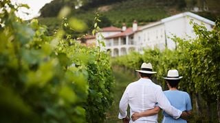 Peterc Vineyard Estate