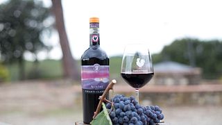Degustazione base di 4 vini con tour in Chianti presso l'azienda vinicola Terre Di Perseto