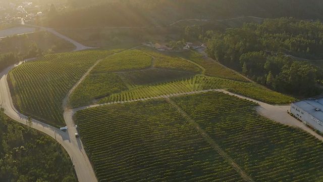 Quinta da Giesta