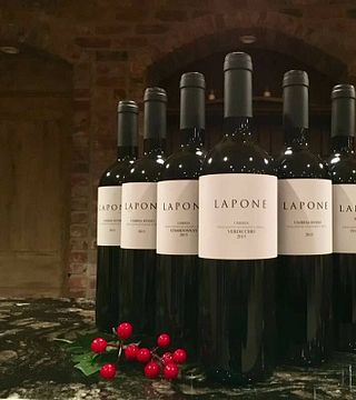 Hinter dem Etikett – Weinprobe und Tour