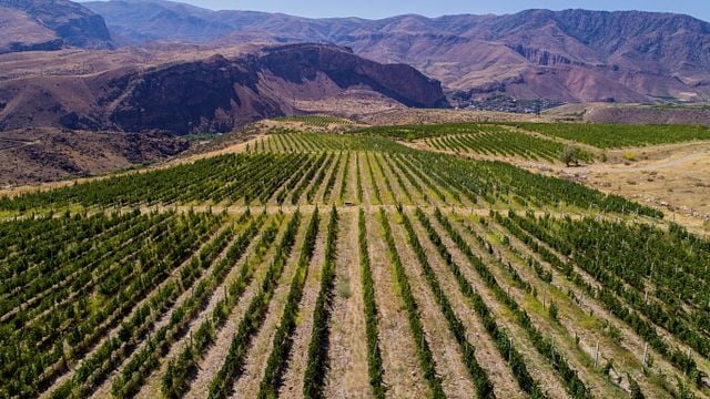 HIN ARENI Winery