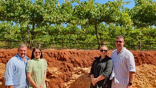 Recorrido vinícola de medio día por lo más destacado de Coonawarra con almuerzo