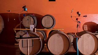 Col Di Lamo Winery