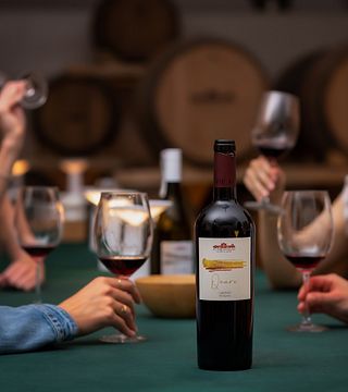 Wine & Food Experience at Le Vie Angarano