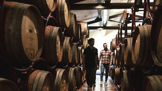 Dégustation complète de vins à Cafaggio