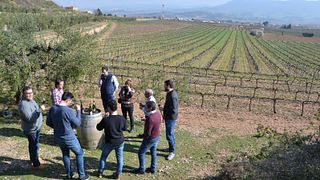 Visita e degustazione didattica per principianti | Celler Josep Foraster