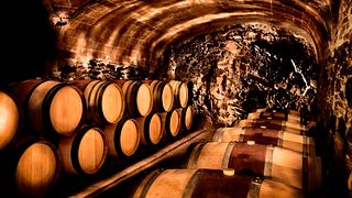Visita di un vigneto e visita e degustazione di vini presso la cantina di Sao del Coster