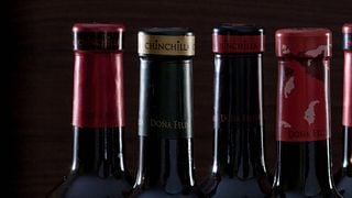 Dégustation de vins à la Bodega Doña Felisa