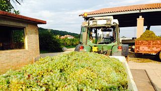 Azienda Agricola Conte Loredan Gasparini