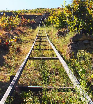 Tour vitivinicolo eroico